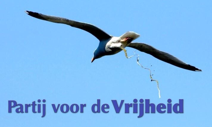 Wat heeft de PVV in dertien jaar bereikt?