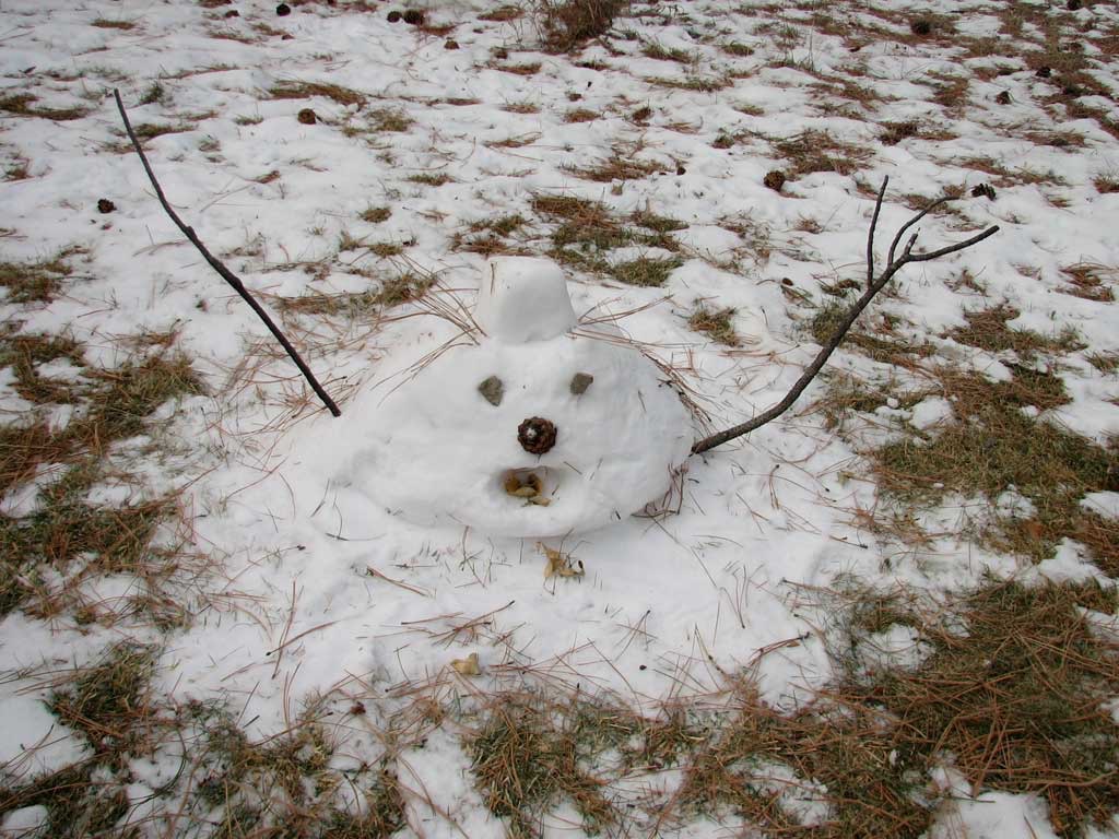 De mooiste sneeuwpop allertijden